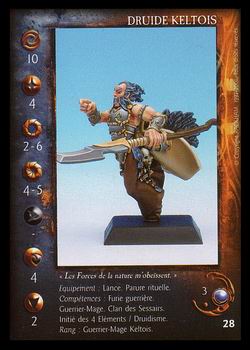 Carte Druide Keltois #1