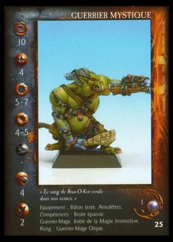 Carte Guerrier Mystique #1