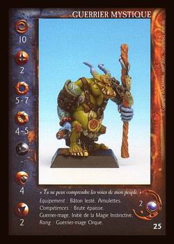 Carte Guerrier Mystique #2